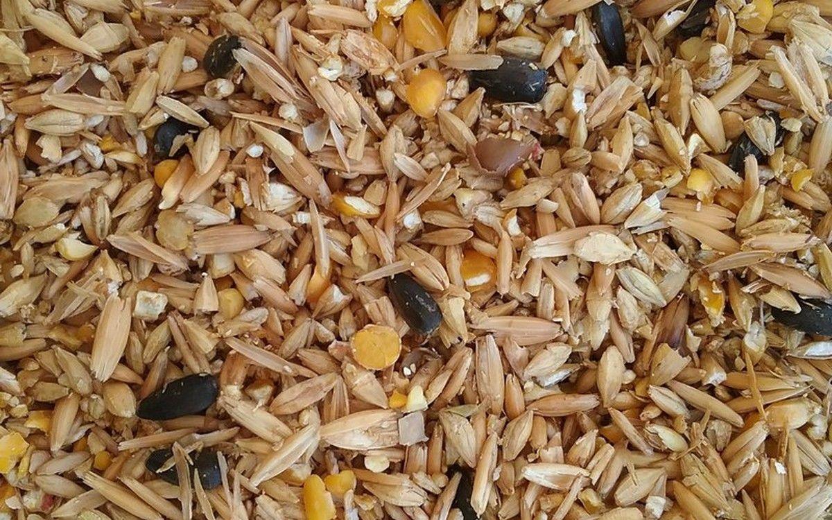 Compound horse feed grain mix